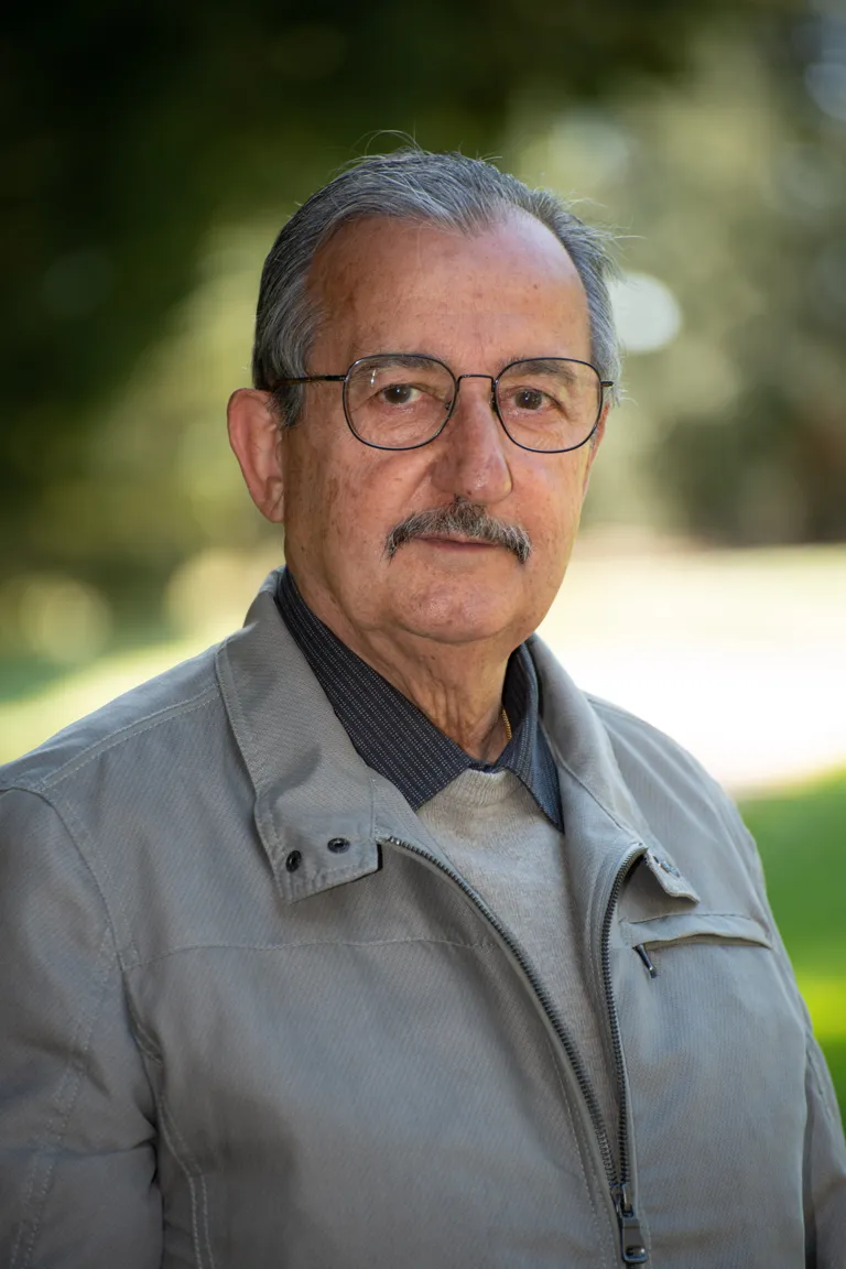 Bruno Stevanoni